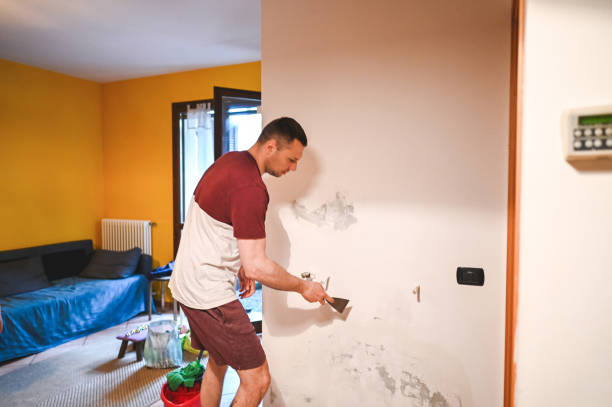 Trusted Rosendale, WI Mold Removal Experts